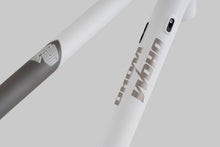 Load image into Gallery viewer, Double Ace Titanium GRAVEL | Complete Bike Custom Cerakote (Hidden White/Sandblast)