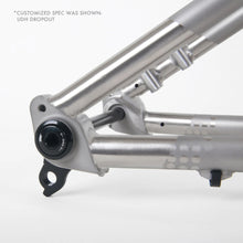 Load image into Gallery viewer, Quickslack Titanium Hardtail Mountain Bike