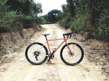 Laden Sie das Bild in den Galerie-Viewer, Wildcard Gravel Tourer Vermillion / Rahmenset