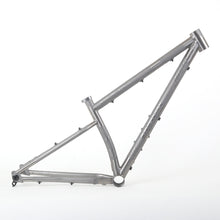 Load image into Gallery viewer, Quickslack Titanium Hardtail Mountain Bike