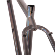 Charger l'image dans la galerie, Old Crow All Mountain Bike / Ensemble de cadres