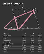 Charger l'image dans la galerie, Old Crow All Mountain Bike / Ensemble de cadres